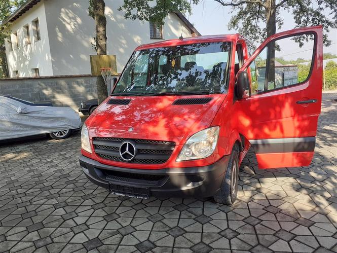 Sprinter