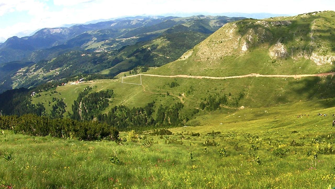 Truall-për-Shitje-në-Hajlë-të-Koshutanit---Rugovë--Pejë