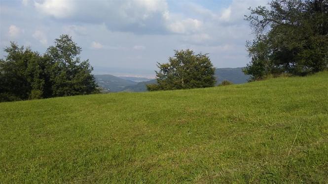 PARCELA NE JEZERC 