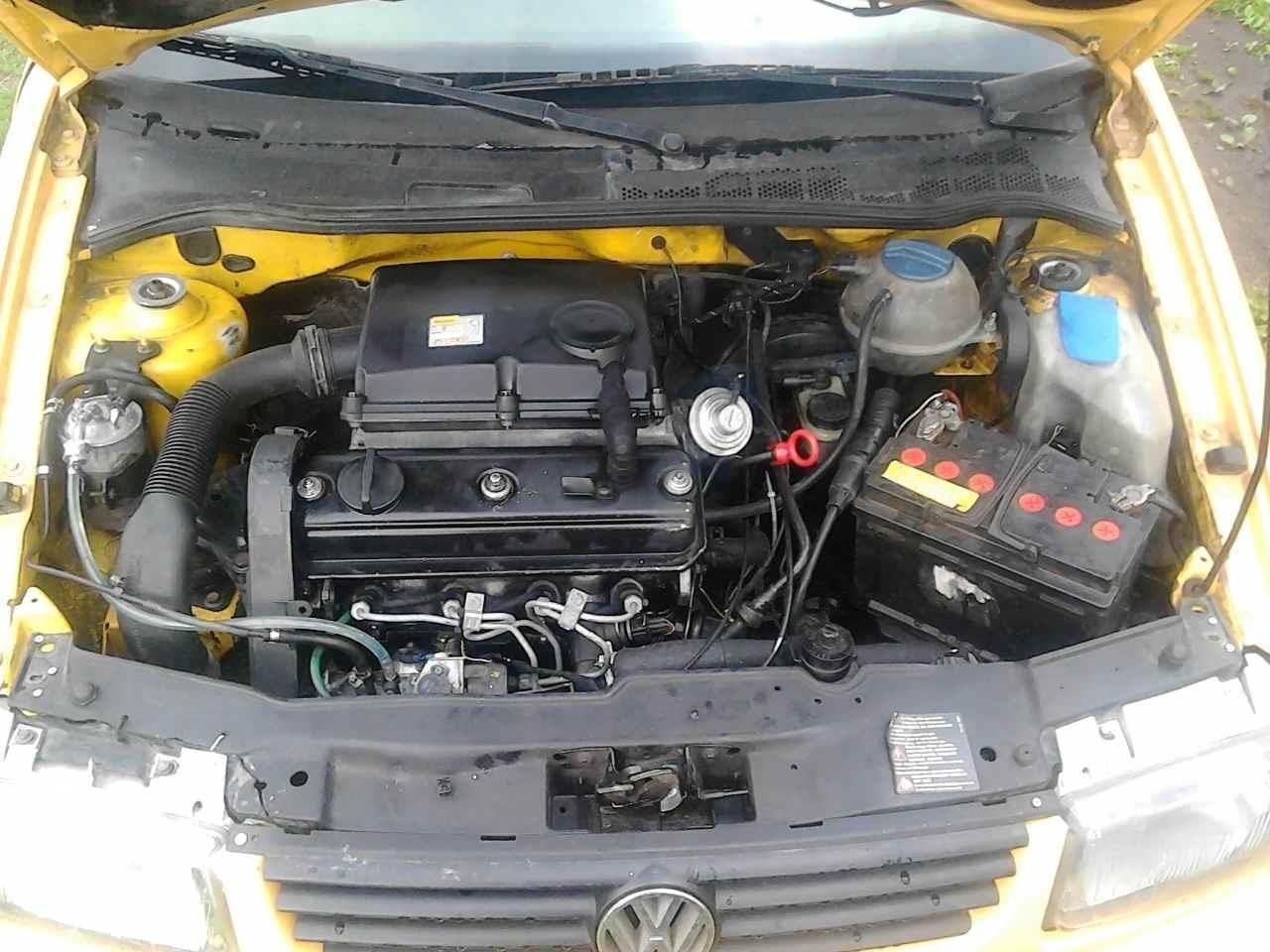 Polo-