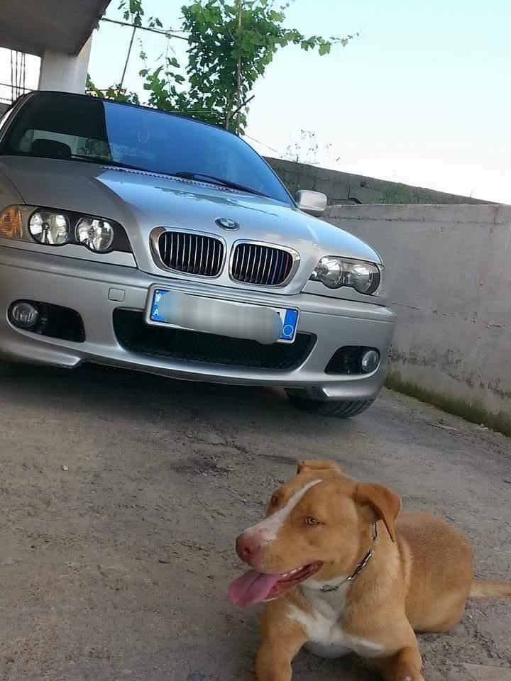 Bmw-E46