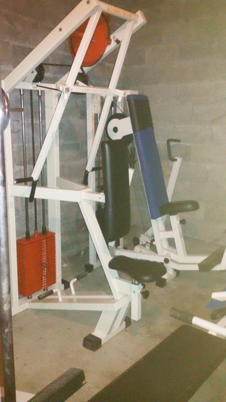 SHITET--PALESTRA