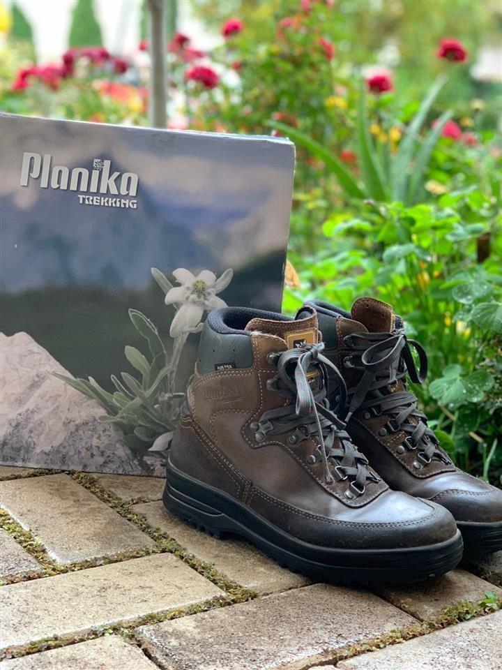 Planika