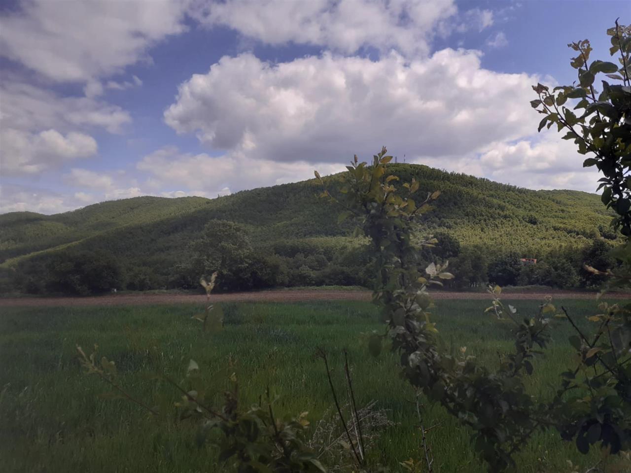 Shiten-trojet-në-Dragancë