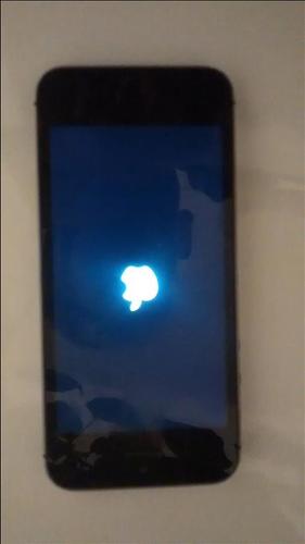 iPhone 5s 