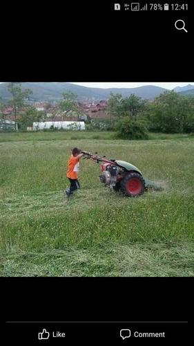 Rapid