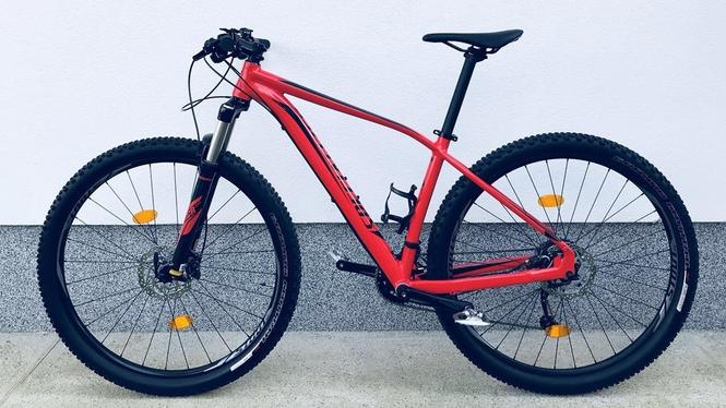 specialized 29