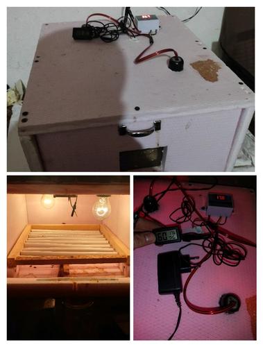 Inkubator