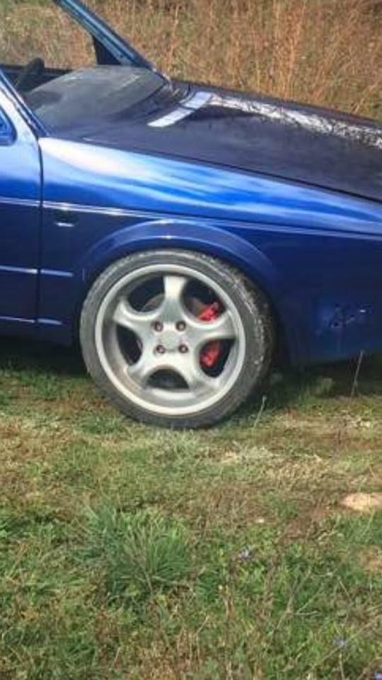 Fellne-17-
