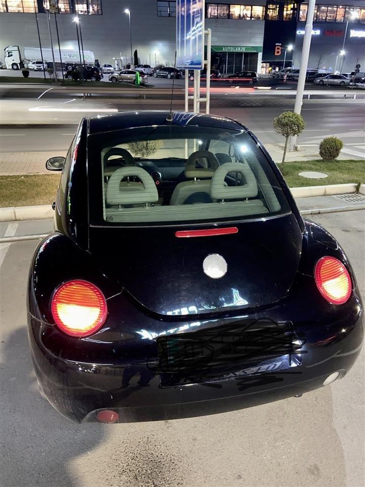 Beetle