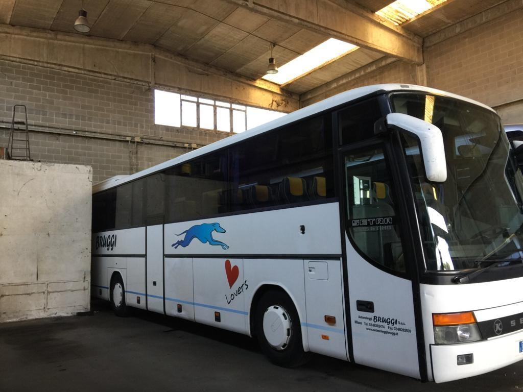 setra-