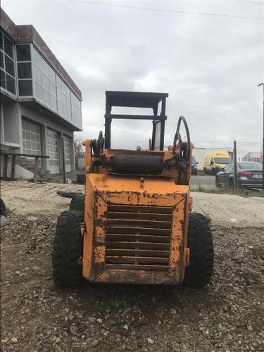 Bobcat