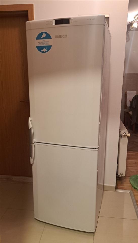 u-shit---Frigorifer-Beko