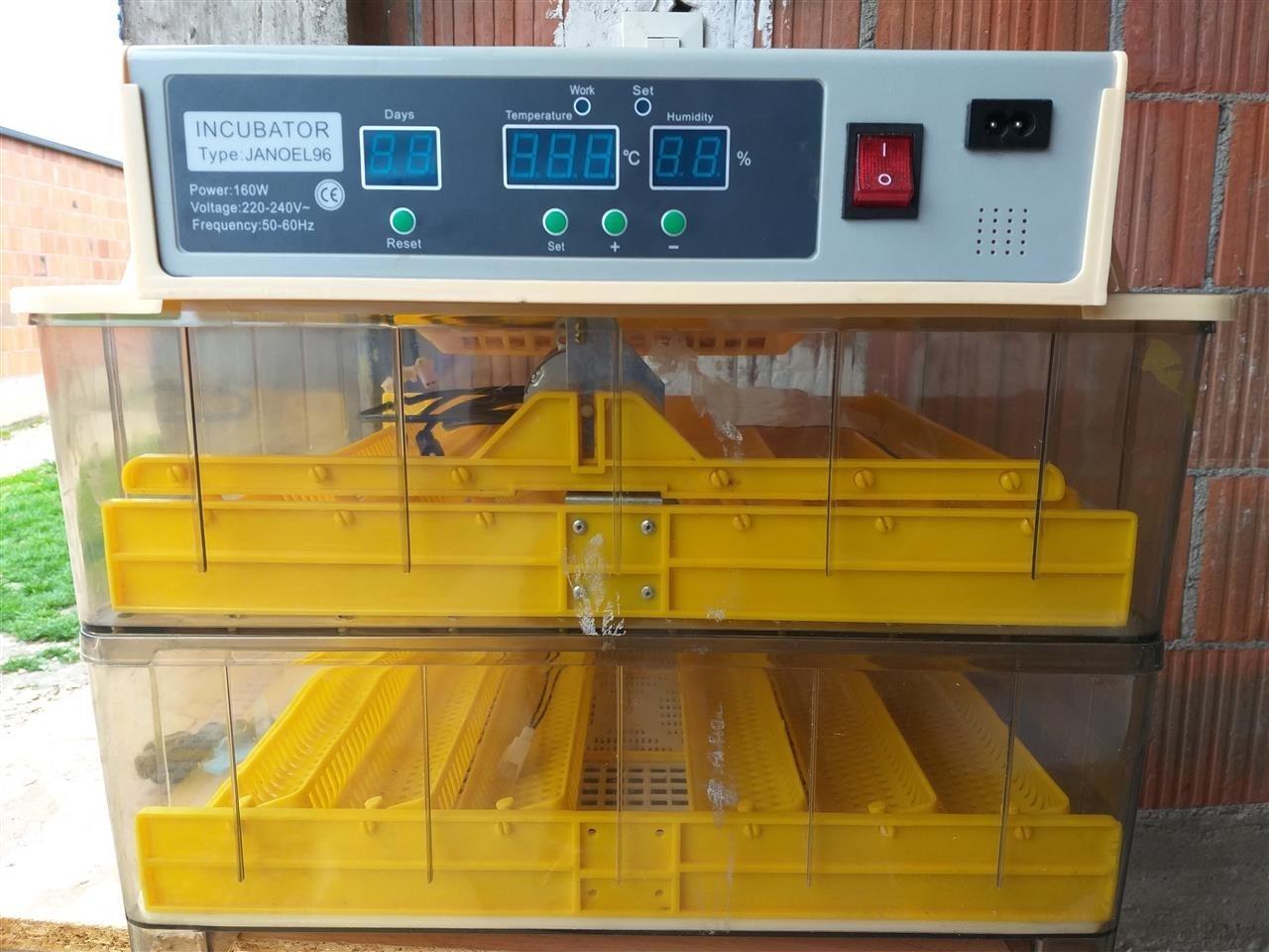Inkubator