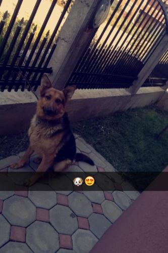 Kerkoj