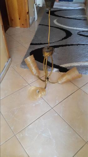 Shitet llusteri 