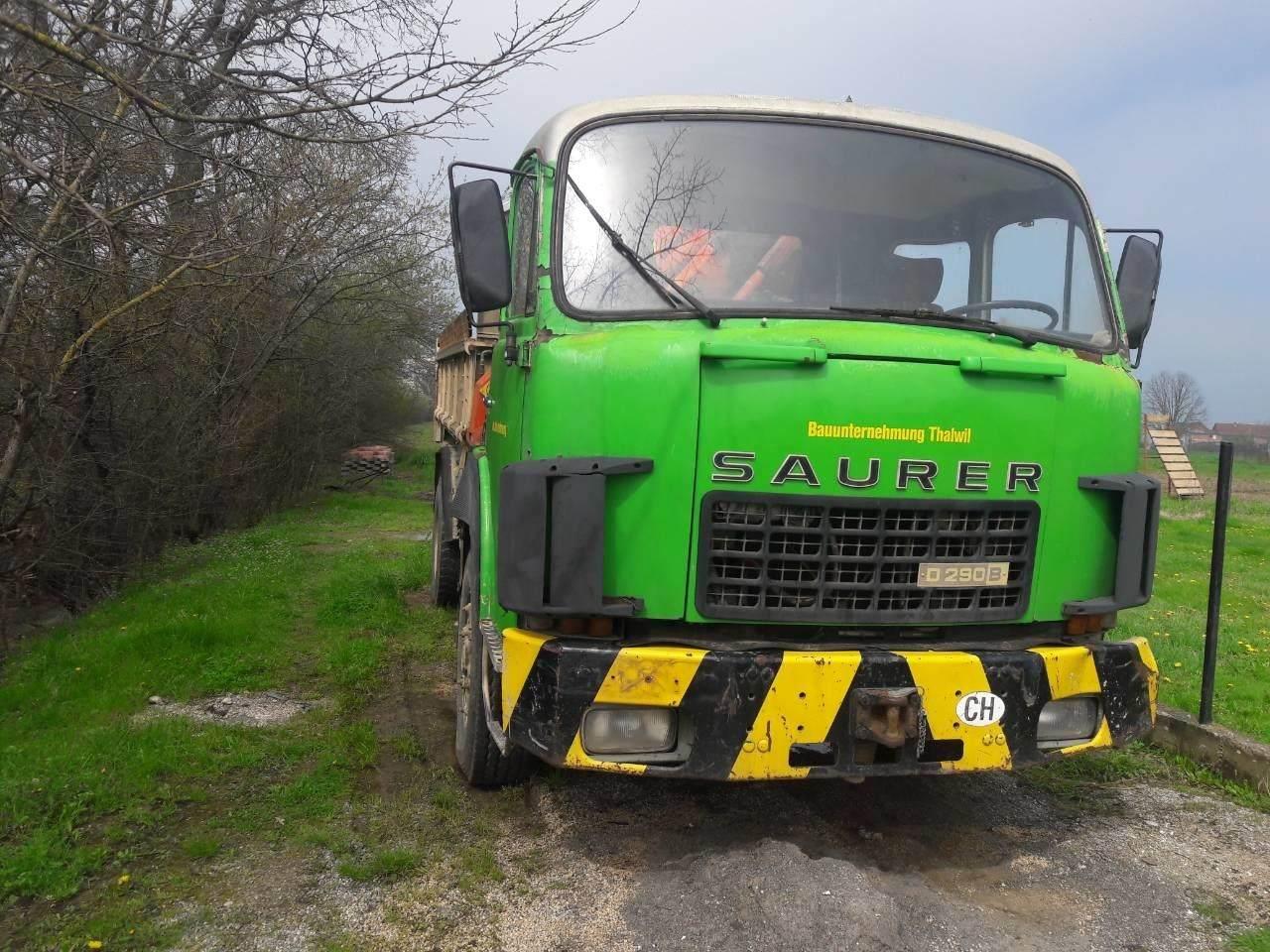 Saurer