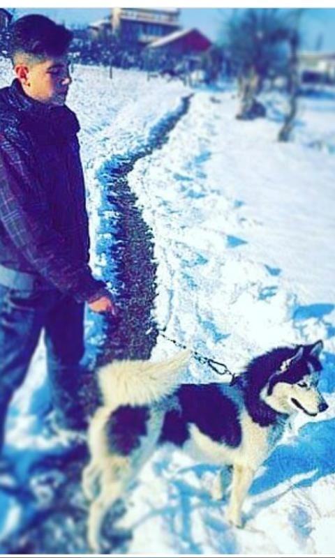 Haski