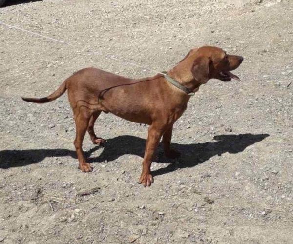 zagar