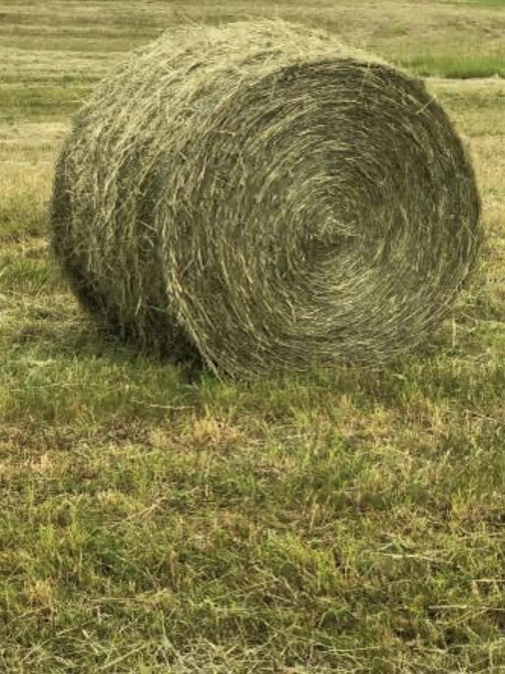 Rrotoballa