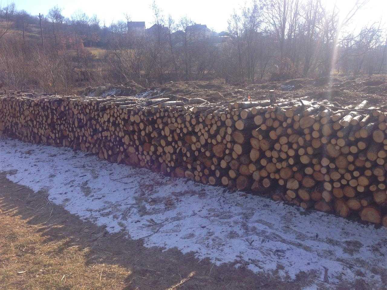 Shiten-drut
