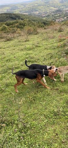 Zagar