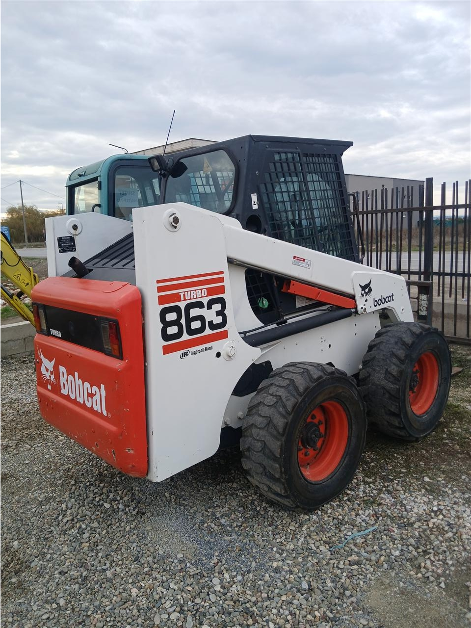 Bobcat