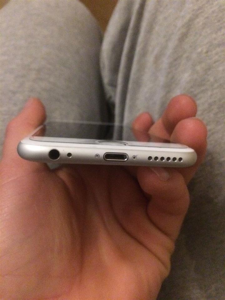 Shess-iphone-6-te-ri