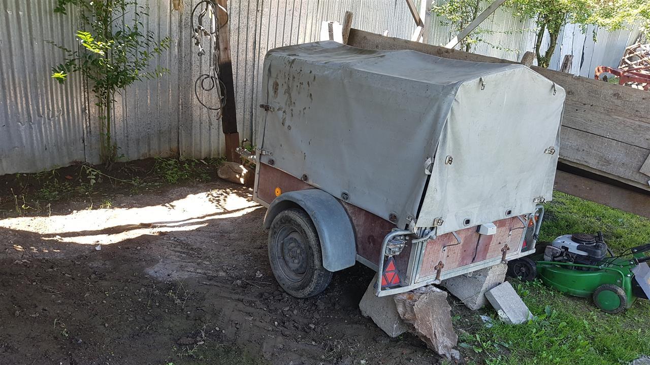 Prokolic