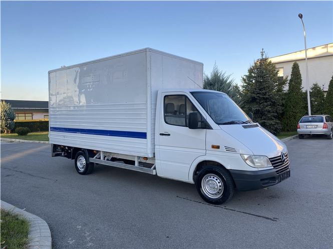Sprinter 313