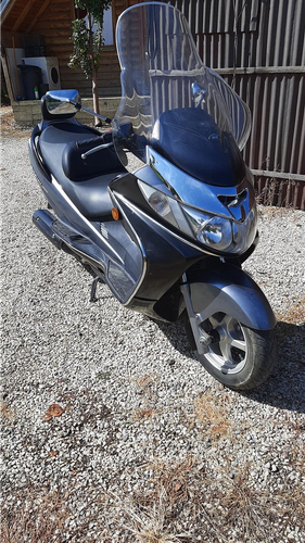 Suzuki borgman
