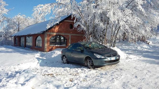 Peugot
