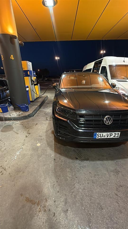 Taureg----