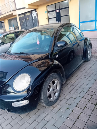 Shitet Beetle