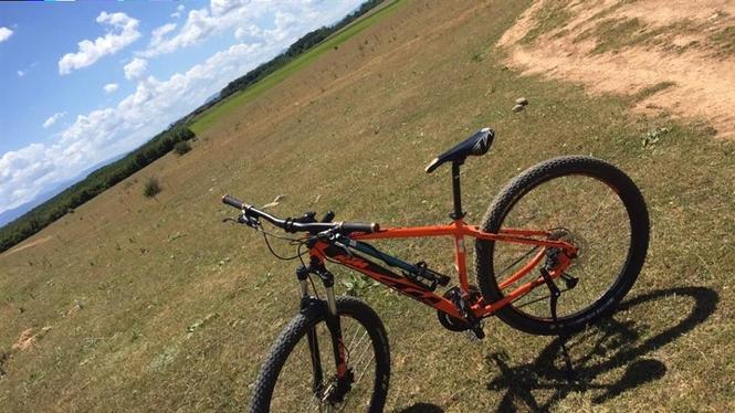 ktm 29”