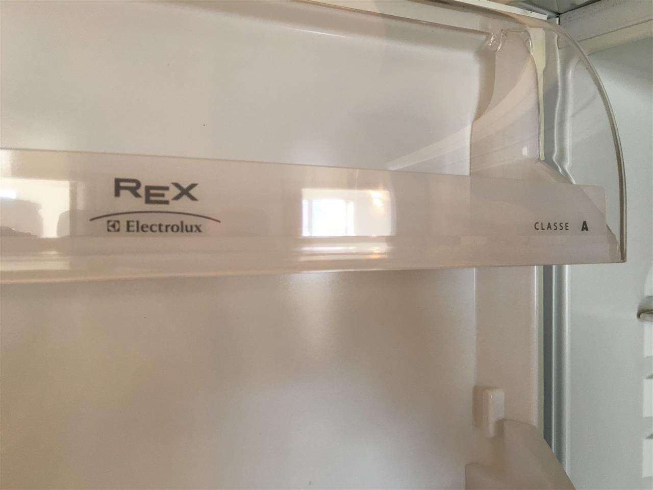 Rex
