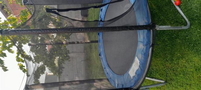 Trampolina
