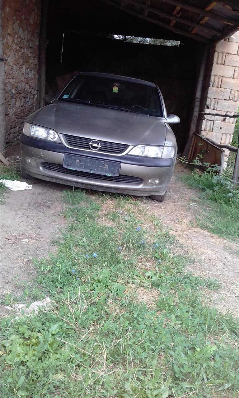 vectra