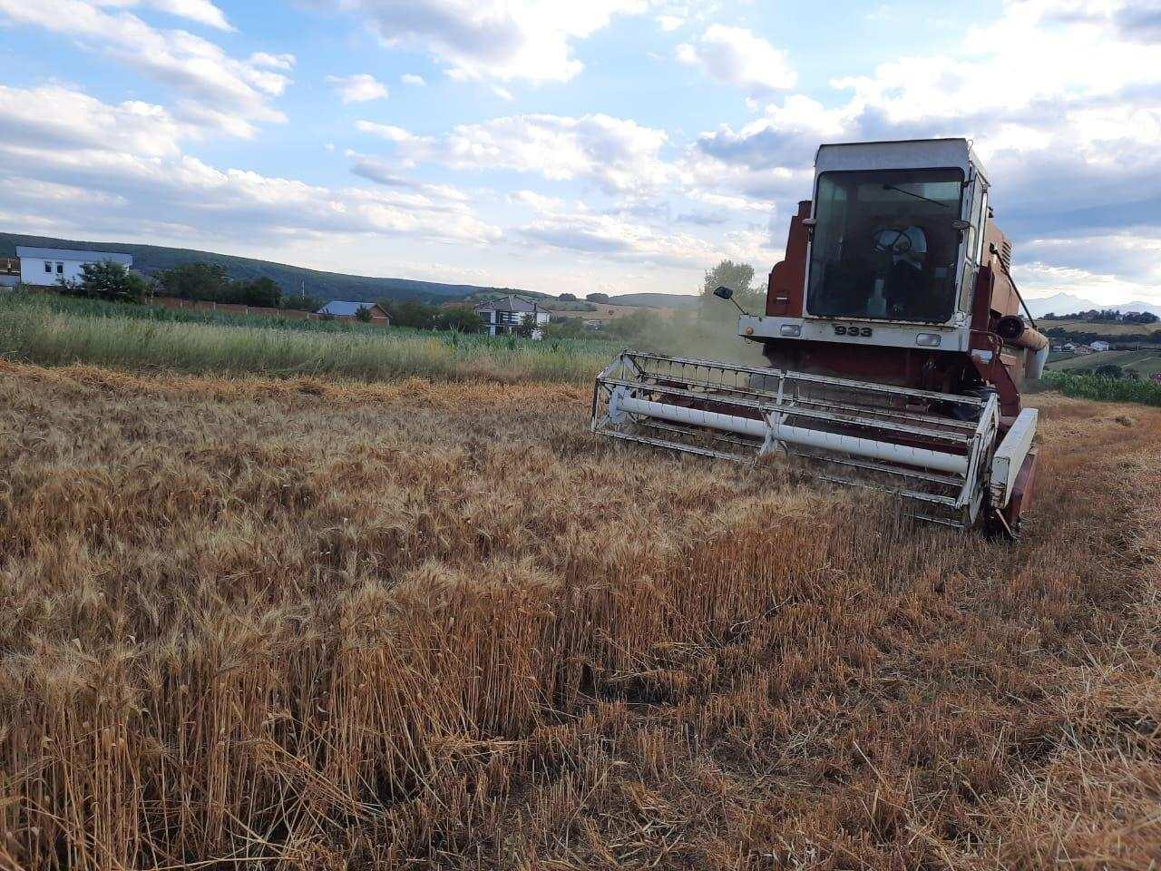 Internacional-933