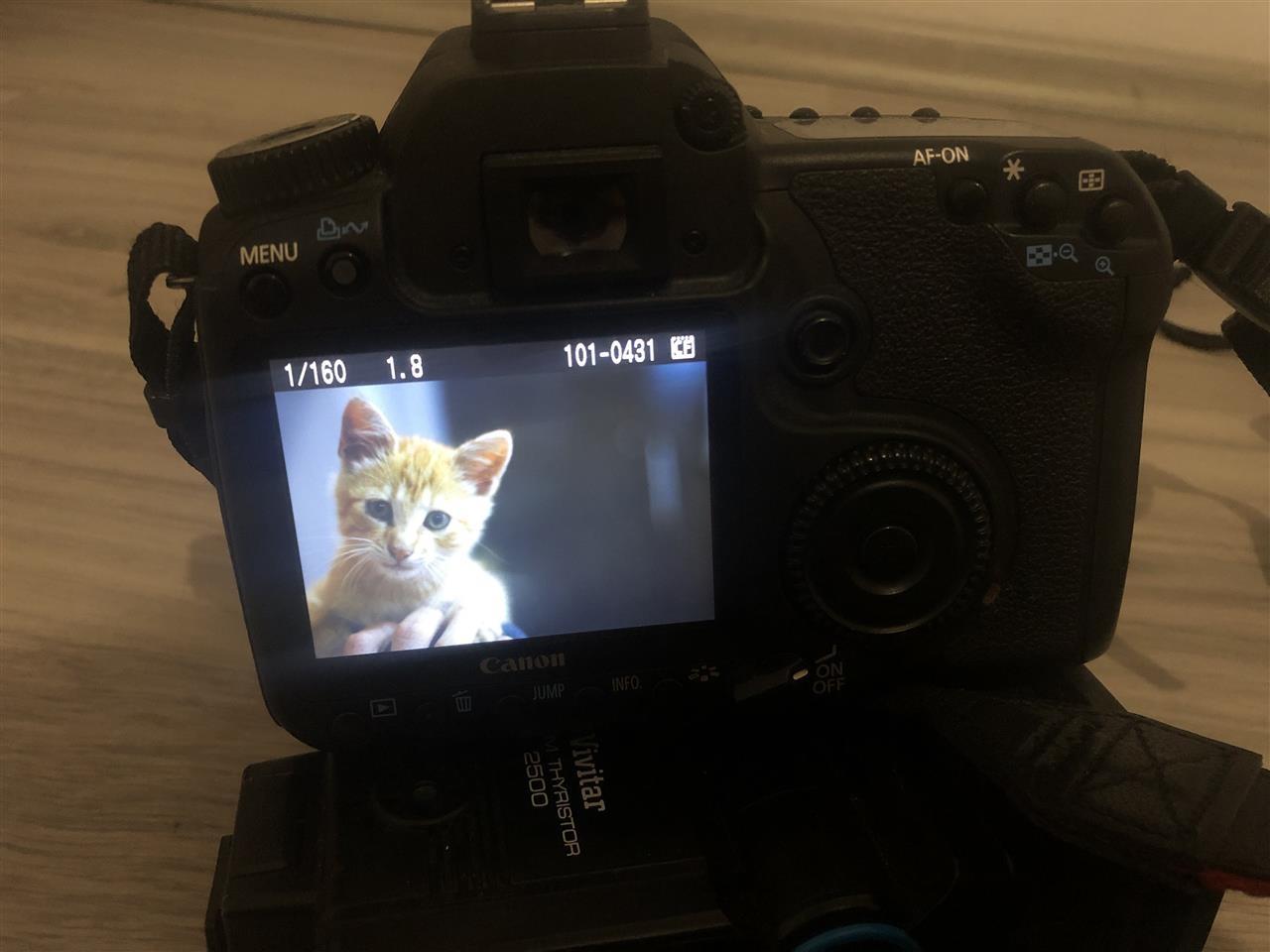 CANON-EOS-40D