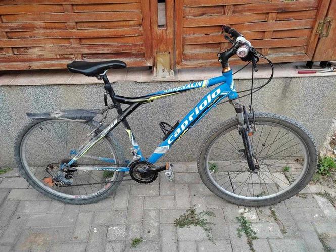 Bicikleta Capriollo