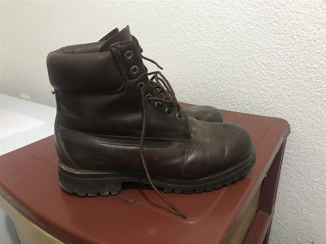 Shes-Timberland-