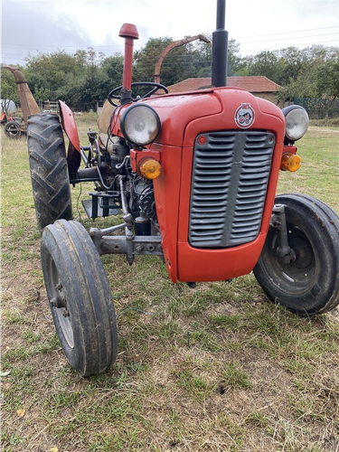 Fergusan 39