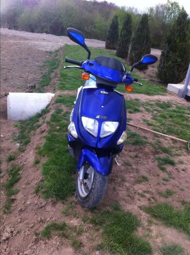 egzon