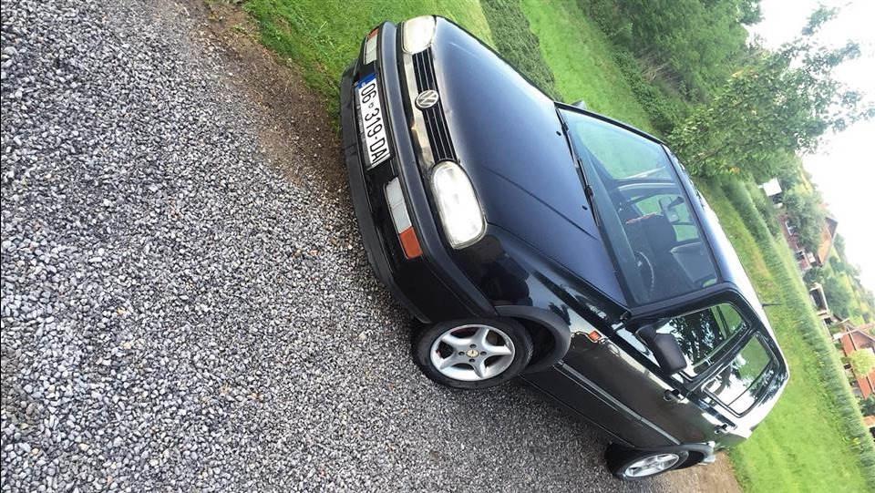 GolF-3