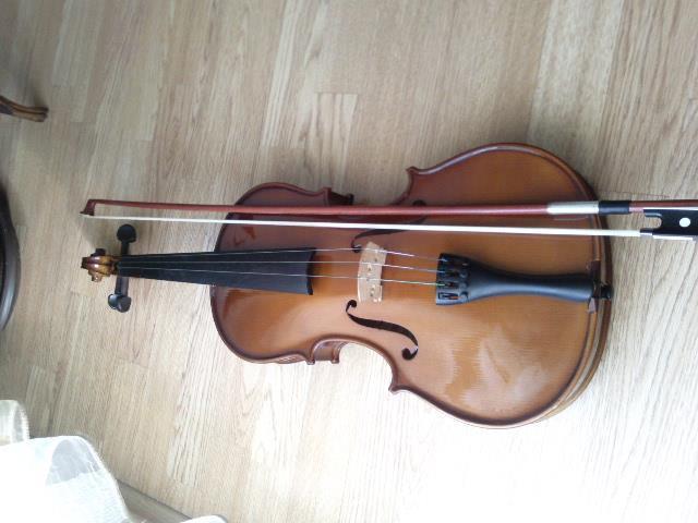 Viola