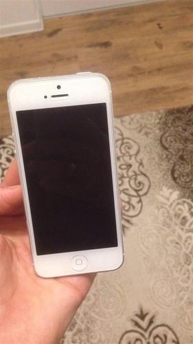 iPhone 5 
