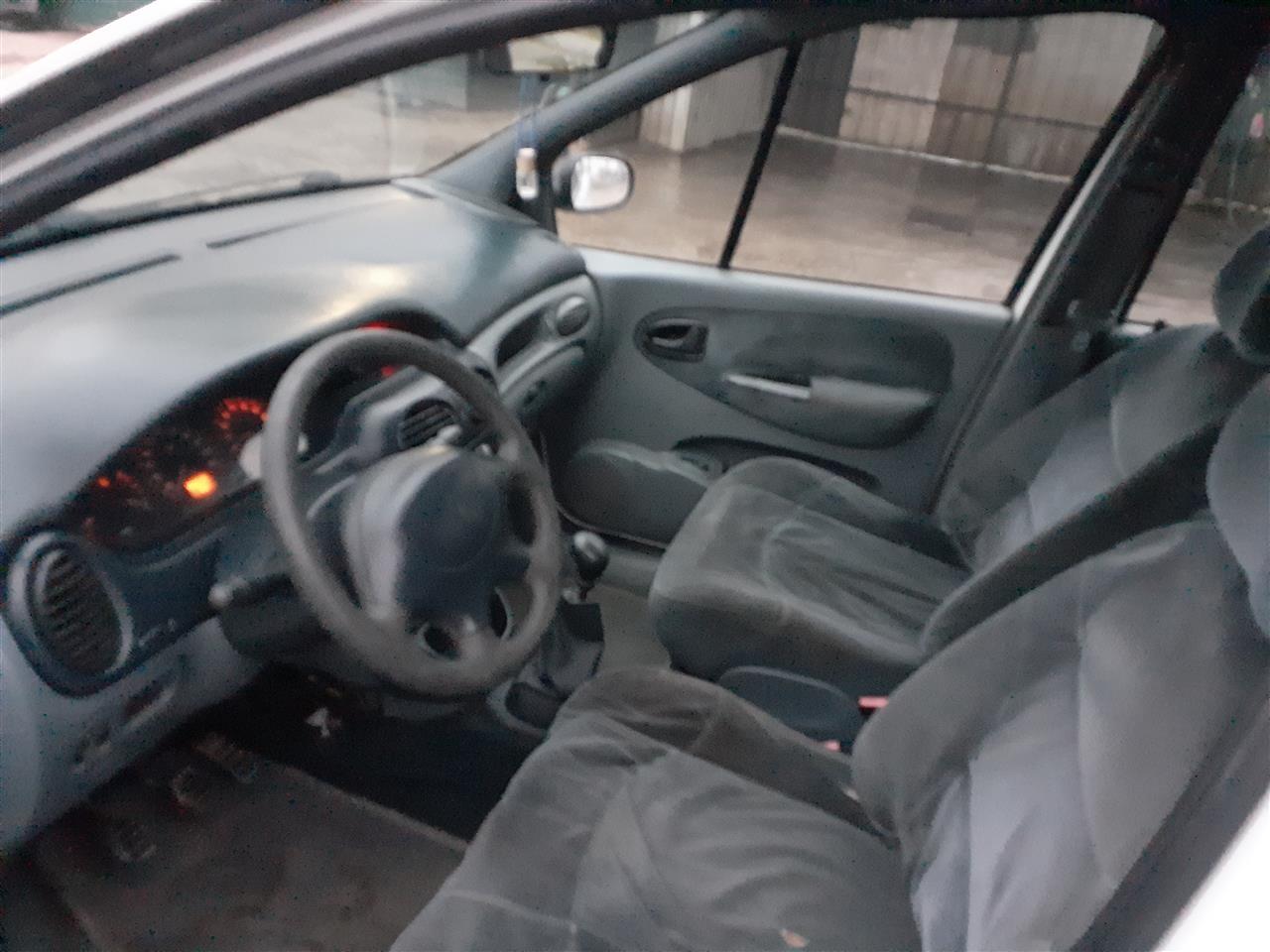 Renault-skenik