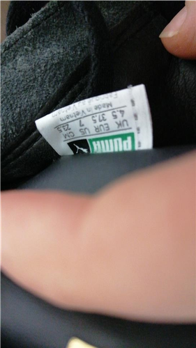 Puma