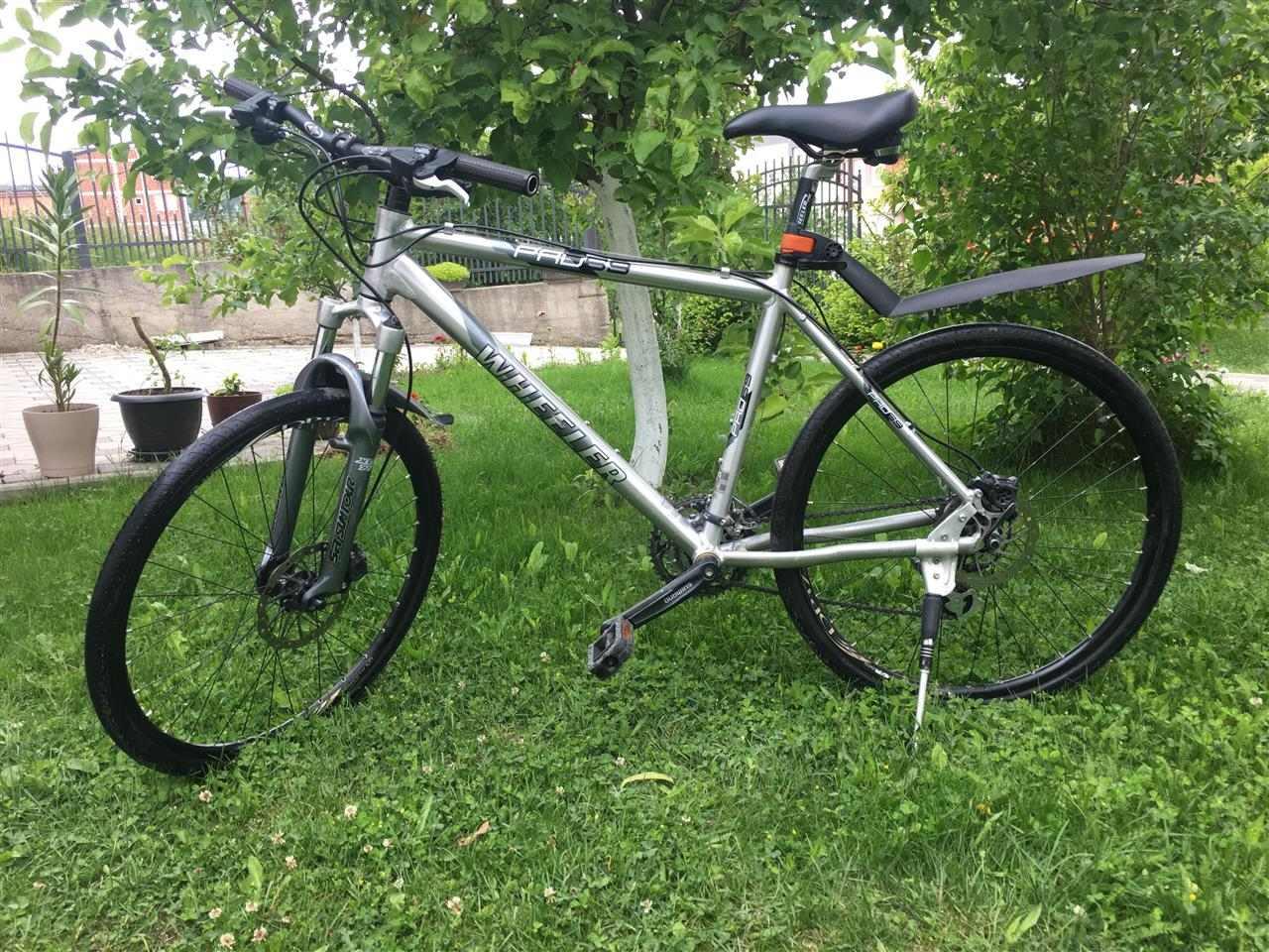 Shitet